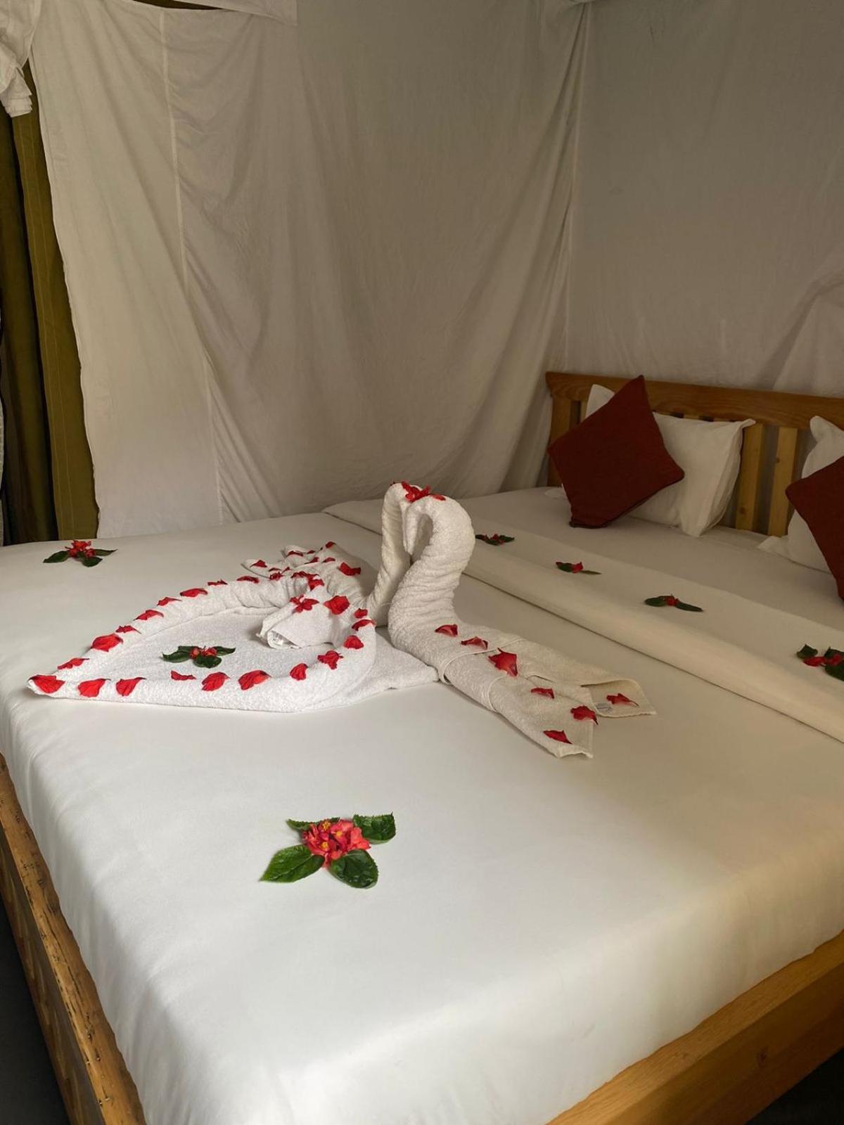 Kalash Parkaze And Tent Inn Покхара Экстерьер фото